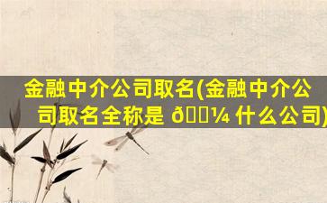 金融中介公司取名(金融中介公司取名全称是 🐼 什么公司)